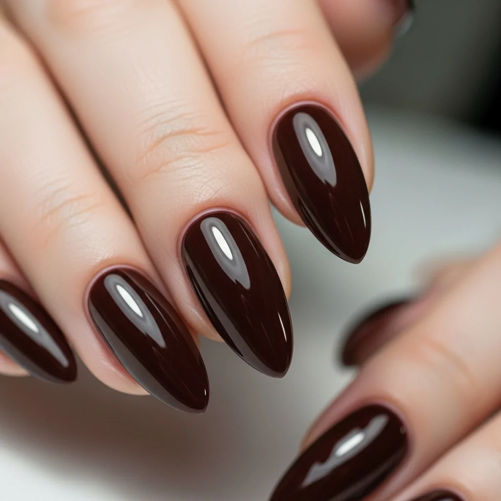 classic chocolate brown